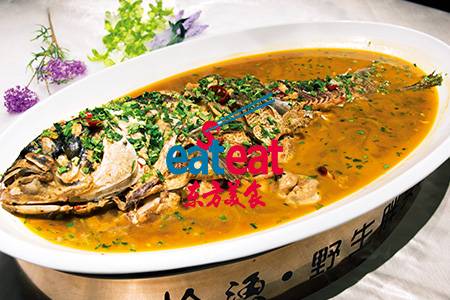 家常炖野生胖头鱼