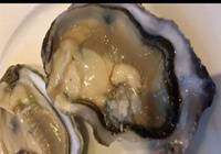 广州：五星酒店吃生蚝内现红活虫