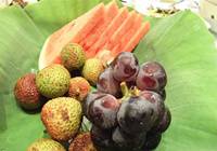 黑龙江：第七届东北美食节9月举行