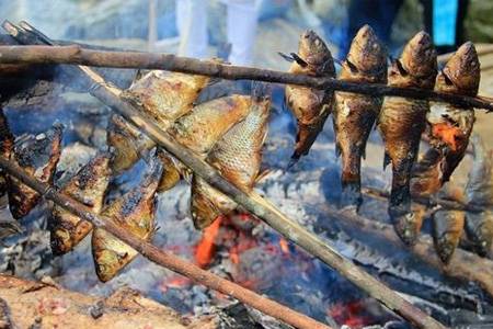 方法：爆款鱼菜10问答