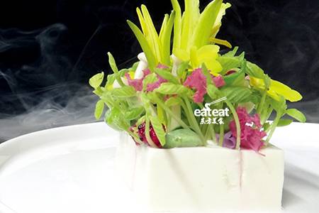 国粹豆腐：豆腐上“长”盆栽！