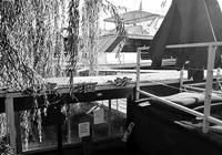 北京：“老赖”餐厅撕封条