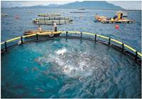 北京：广东淡水活鱼实现全程追溯