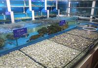 绍兴：假期餐饮消费火爆