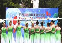 巴西：“中华美食文化节”举办