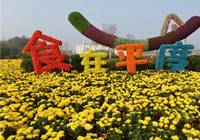 青岛:首届中国养生美食节开幕