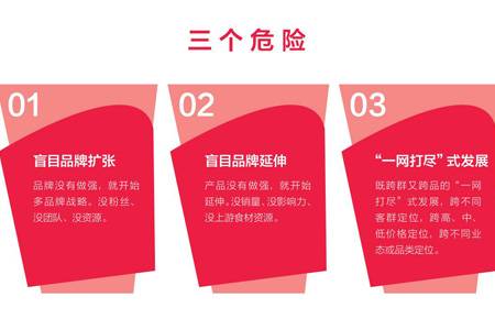 案例：怎样从品类里细分品牌