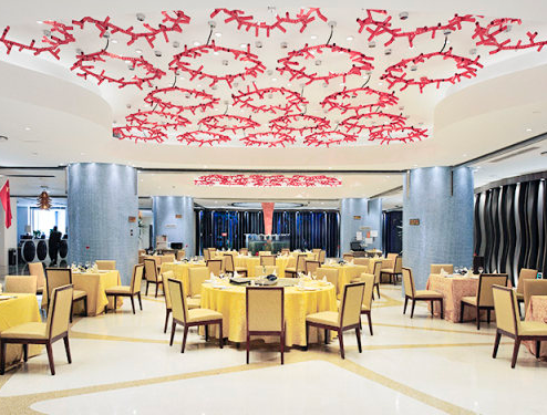 深度解读：净雅的衰落，究竟犯了哪两个致命错误？