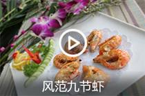 【视频】风范九节虾