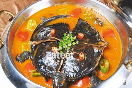 红煨甲鱼如何做更美味？