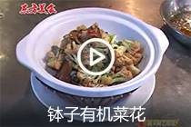 【视频】钵子有机菜花