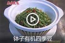 【视频】钵子有机四季豆