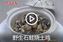 【视频】野生石蛙烧土鸡