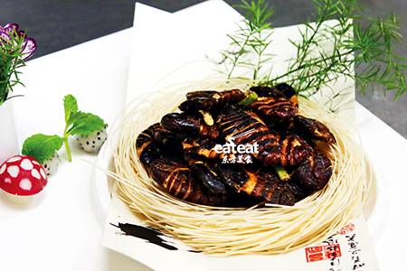 香煎回勺蛹