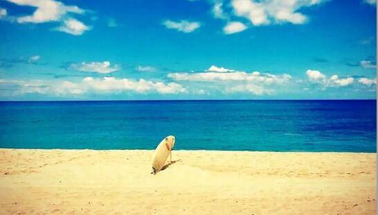 外卖日订单量2000万，餐饮塑料垃圾数量惊人，珍爱生态就是珍爱生命