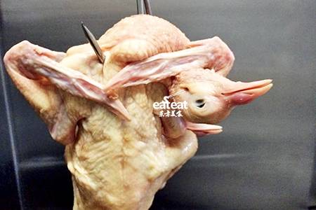 烤鸽子如何操作？