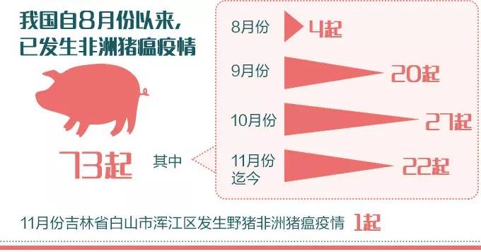 猪瘟来啦！！猪肉还能吃吗？会传染人吗？