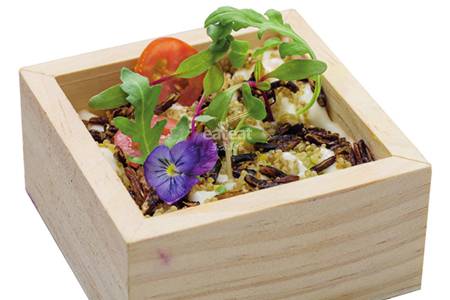 万物生长 （10 份）