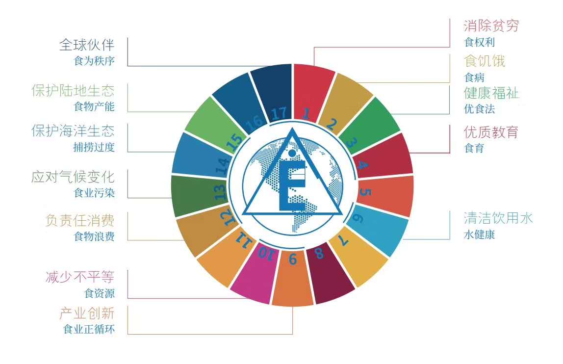 20国选手争夺日本G20厨艺勋章