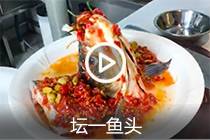 【视频】坛一鱼头