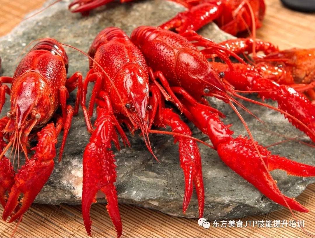 尼罗河上的渔业新星：小龙虾也是中国制造