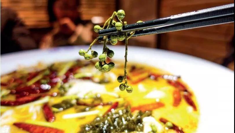 这个吃货花 10 年腌出一坛酸菜！如今开店卖酸菜鱼