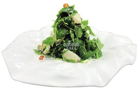 香椿芽拌鲜鲍鱼片