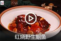 【视频】红烧野生鮰鱼