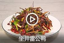 【视频】坐井雷公鸭