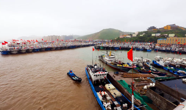 看完这篇推文，你就知道怎么挑选海鲜了