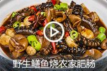 【视频】野生鳝鱼烧农家肥肠