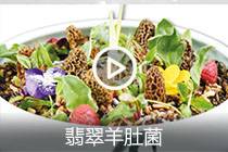 【视频】翡翠羊肚菌