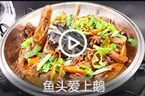 【视频】鱼头爱上鹅