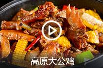 【视频】高原大公鸡