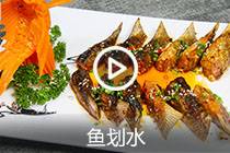 【视频】鱼划水