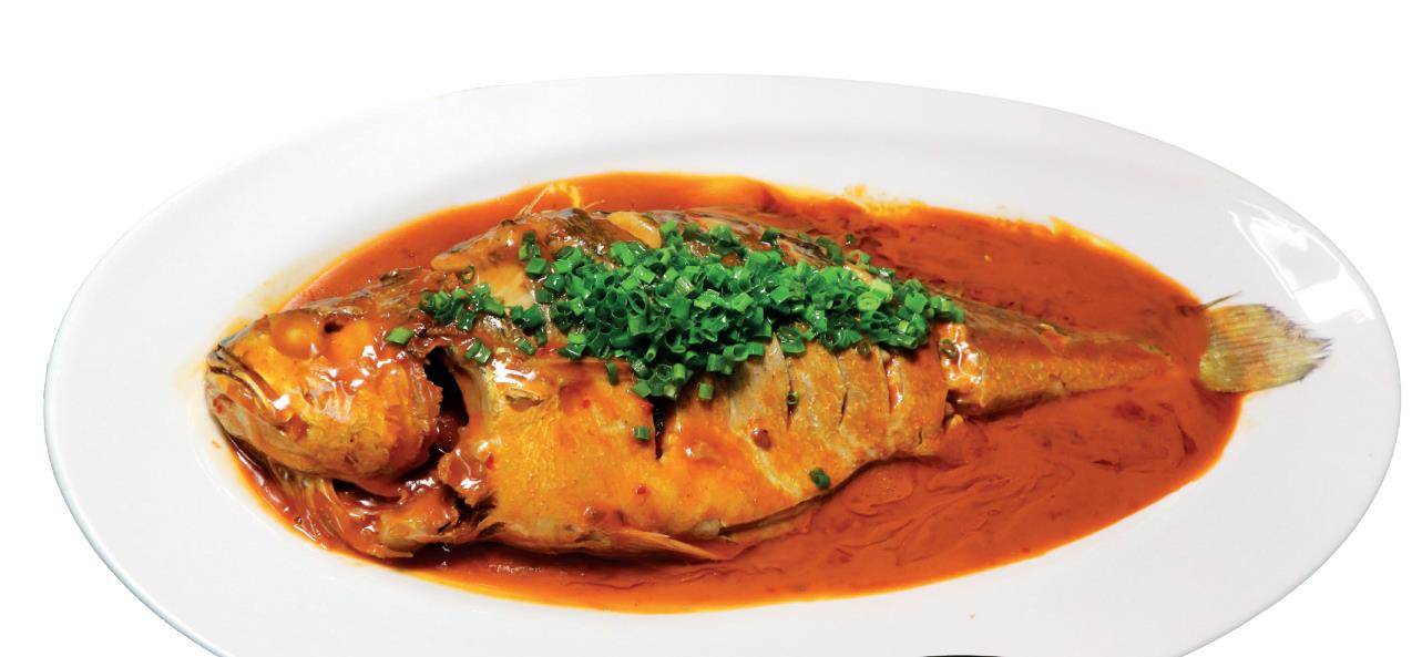 【鲜鲫鱼熬底汤】胶东焖大黄鱼