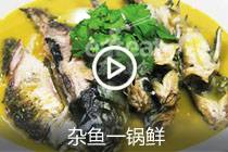 【视频】杂鱼一锅鲜