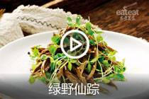 【视频】绿野仙踪