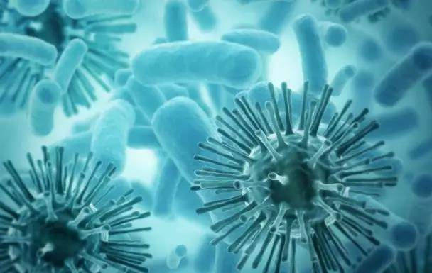 美国又现两种致命病毒，高度传染