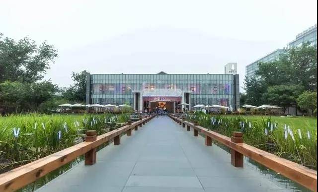 大董：好酒赶紧拿出来喝，万一真破产，就再也喝不了了