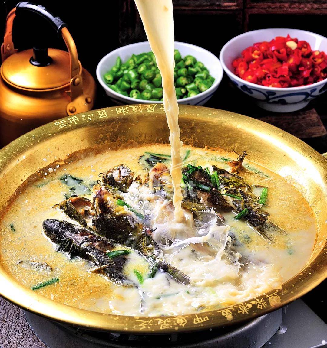 爆款｜豆浆煮鱼：试验鲜鱼400斤，三次改良终获百万菜！