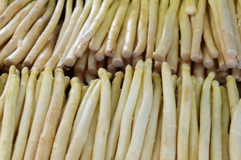 春季好食材｜挑选白芦笋，认准这三点！