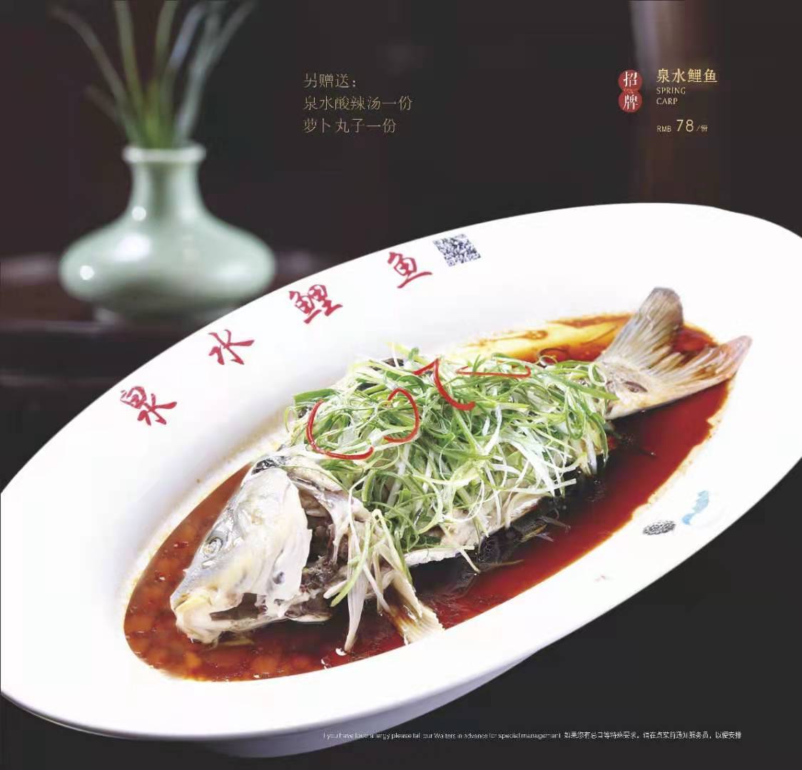 泉水鲤鱼