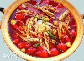 迷宗蛏子