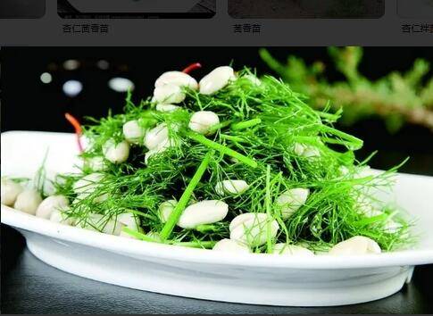 杏仁茴香苗