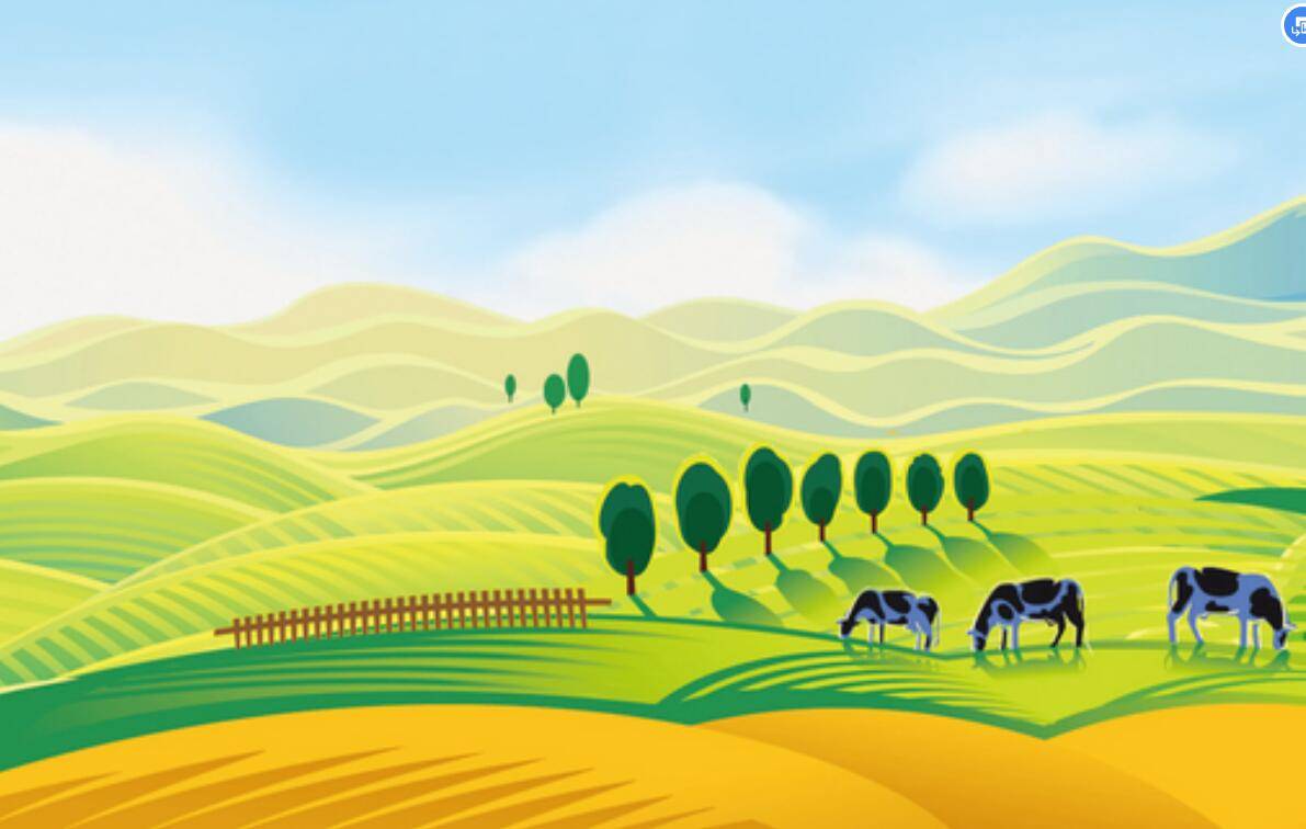 用牧场理论做营销