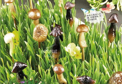 餐厅创新菜肴的四大方法