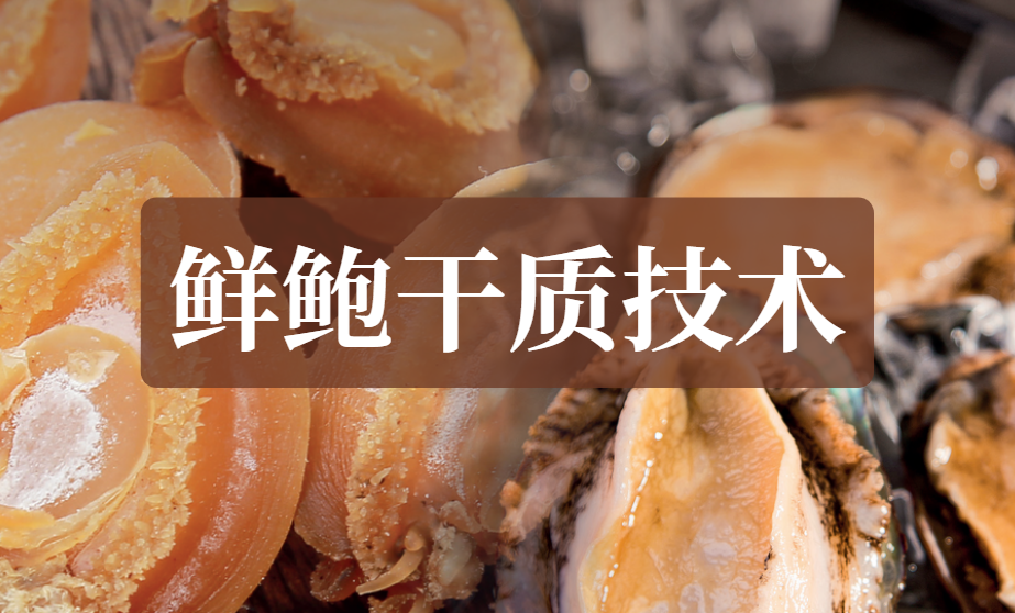 万元不传秘技：鲜鲍如何做出干鲍的质感？