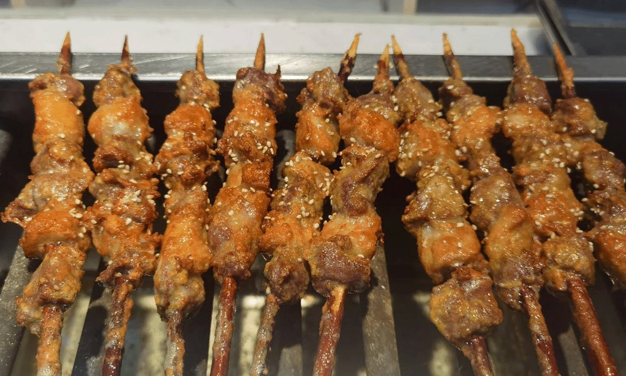 【爆款羊单品】红柳羊肉串